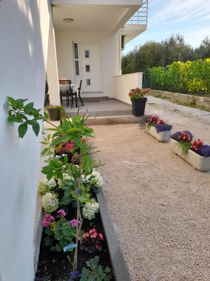 Apartmani Sara Bibinje Exteriér fotografie