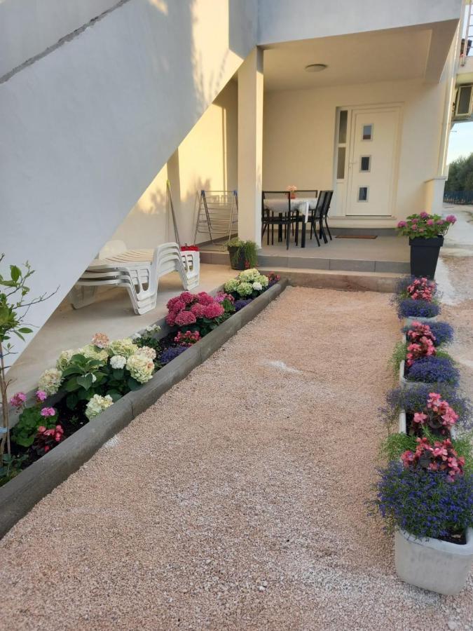Apartmani Sara Bibinje Exteriér fotografie