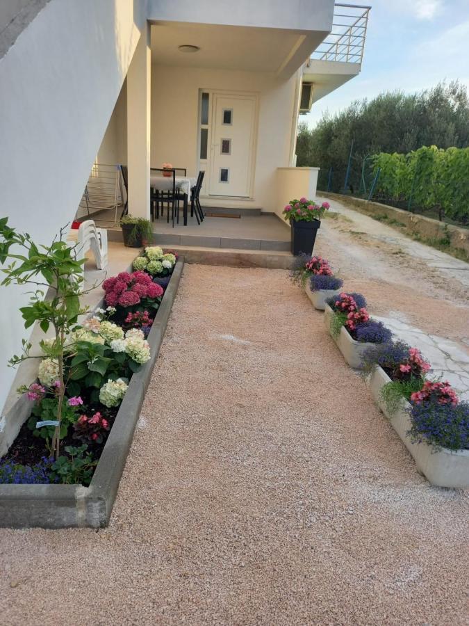 Apartmani Sara Bibinje Exteriér fotografie