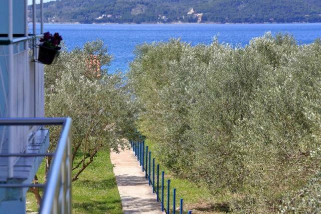 Apartmani Sara Bibinje Exteriér fotografie